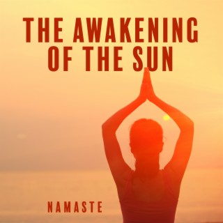 Namaste Yoga Relaxation