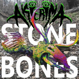 Stone Bones