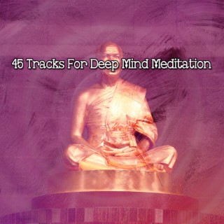45 Tracks For Deep Mind Meditation
