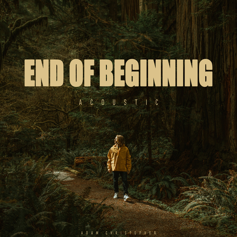 End of Beginning (Acoustic) | Boomplay Music