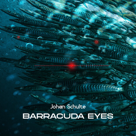 Barracuda Eyes | Boomplay Music