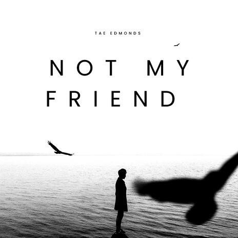 Not My Friend | Boomplay Music