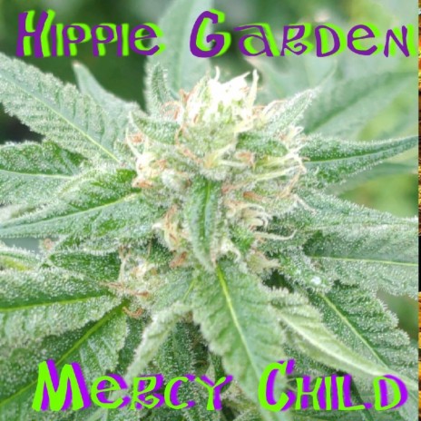 Hippie Garden