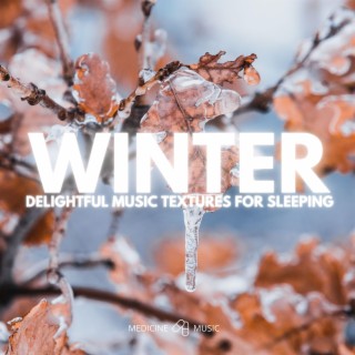 WINTER (Delightful Music Textures For Sleeping)