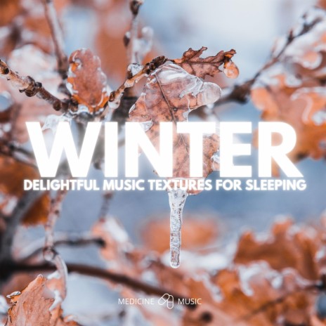 Winter Solstice (Delightful Music Textures For Sleeping)