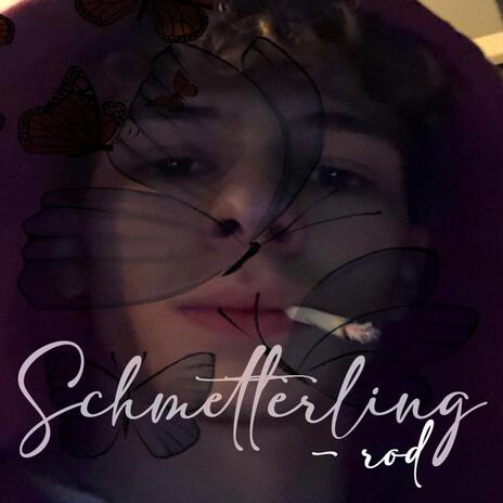 schmetterling