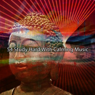 54 Study Hard With Calming Music