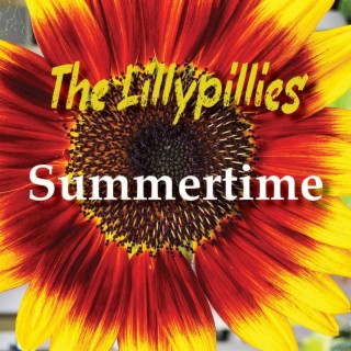 Summertime lyrics | Boomplay Music