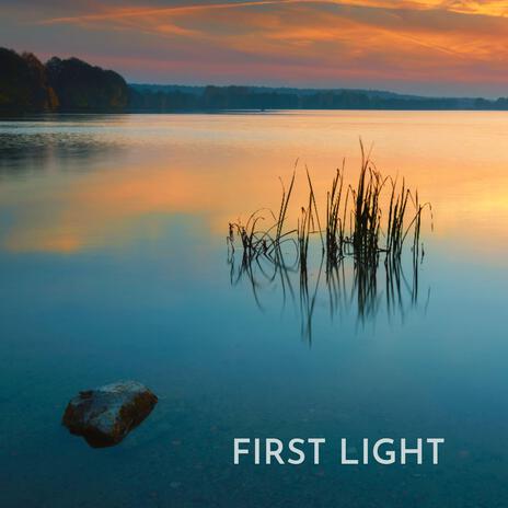 First Light ft. Beautiful Life | Boomplay Music