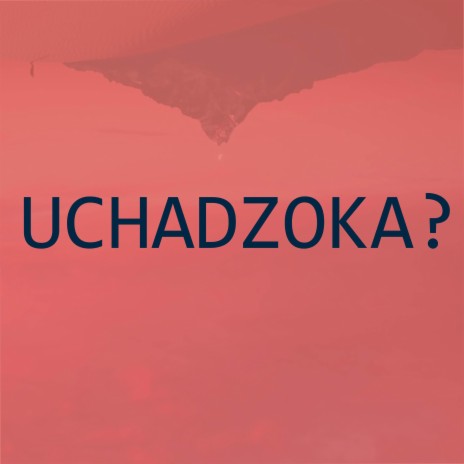 Uchadzoka | Boomplay Music
