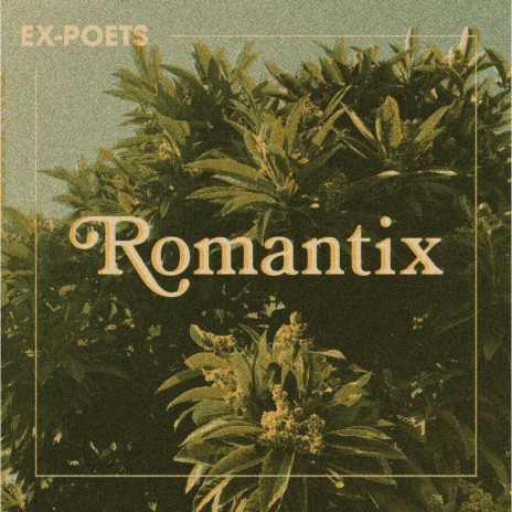 Romantix | Boomplay Music