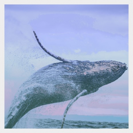 Lone Whale | Boomplay Music