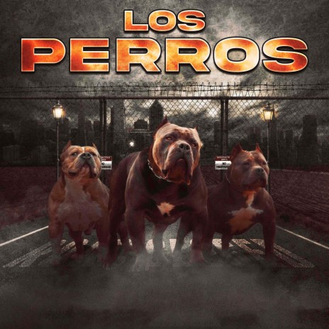 Los Perros ft. Gonzalo Nawel & Taylor Mami | Boomplay Music