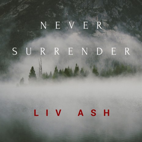 Never Surrender | Boomplay Music