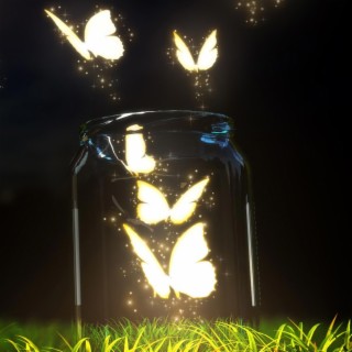 Fireflies and Butterflies