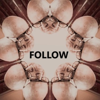 Follow