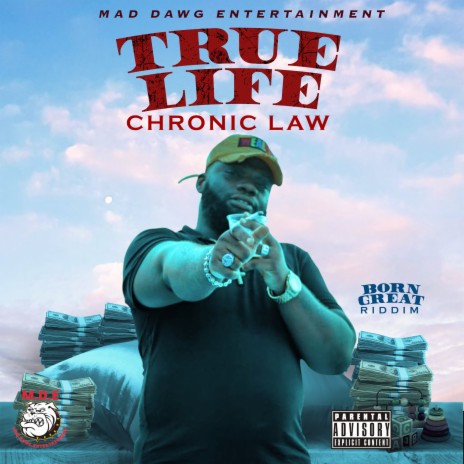 True Life | Boomplay Music