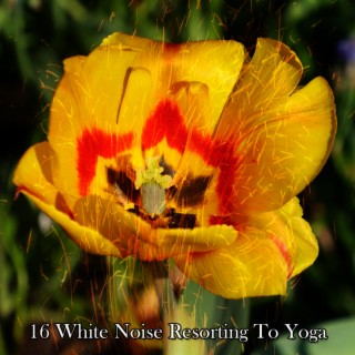 16 White Noise Resorting To Yoga