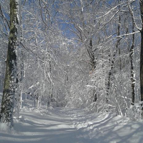 Winter Ride (Instrumental Acoustic Classical Guitar Version) | Boomplay Music