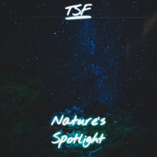 Nature's Spotlight