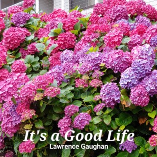 It's a Good Life lyrics | Boomplay Music