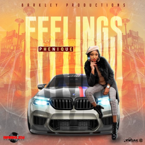 Feelings | Boomplay Music