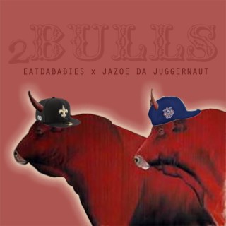 2 Bulls