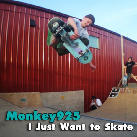 I Just Want to Skate