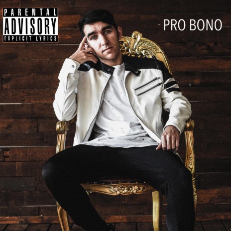 Pro Bono | Boomplay Music