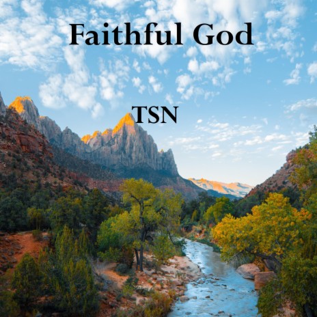 Faithful God ft. TSN | Boomplay Music
