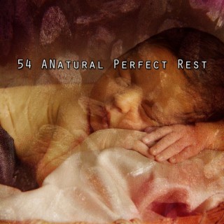 54 ANatural Perfect Rest