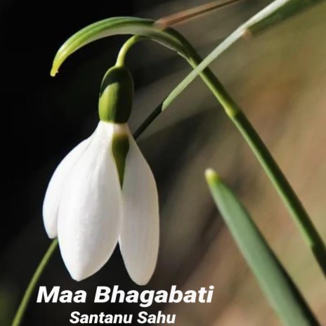 Maa Bhagabati