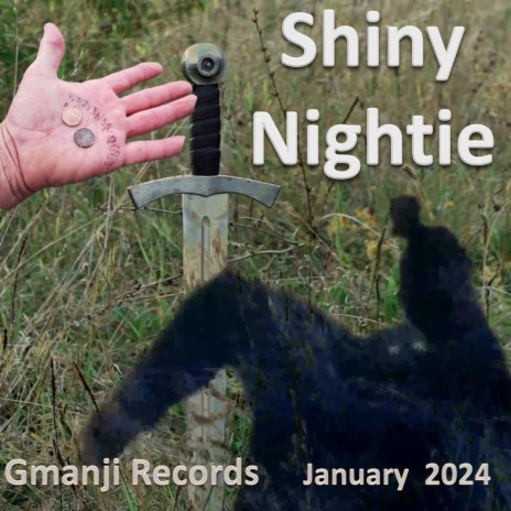 Shiny Nightie | Boomplay Music