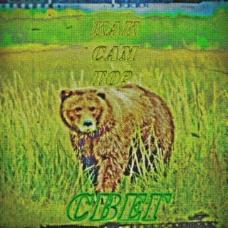 СВЕГ