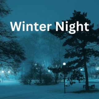 Winter Night
