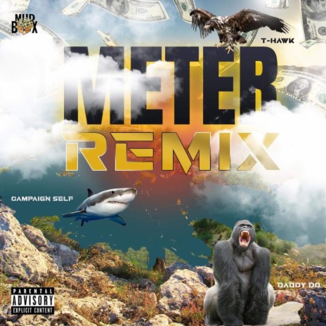 Meter (Remix) ft. Daddy Do, Campaign Self | Boomplay Music