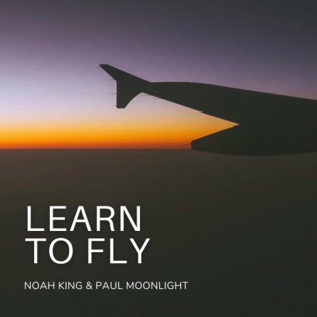 Learn to Fly ft. Paul Moonlight | Boomplay Music