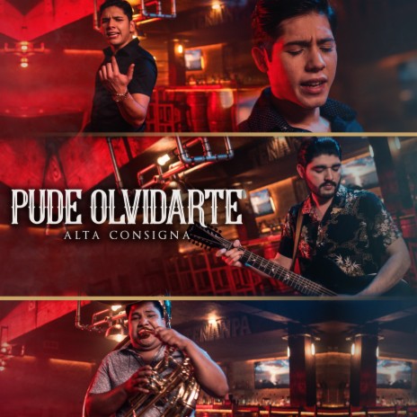 Pude Olvidarte | Boomplay Music