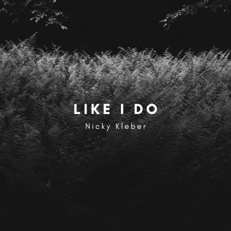 Like I Do | Boomplay Music