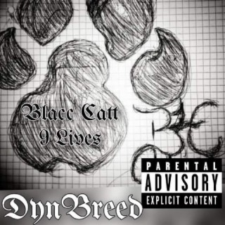 BlaccCatt