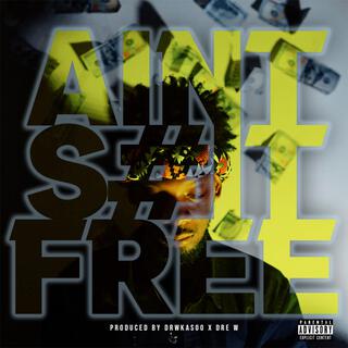 Aint Shit Free lyrics | Boomplay Music