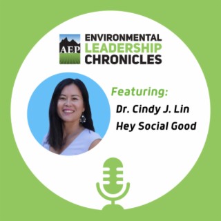 Using Data to Drive Change, ft. Dr. Cindy J. Lin, Hey Social Good