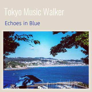 Echoes in Blue