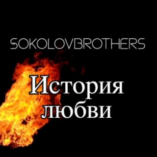 Sokolovbrothers
