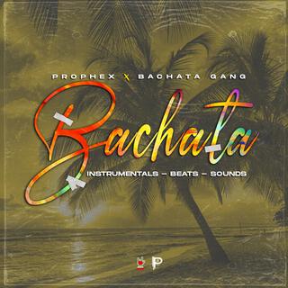 BAchaTa BeaTs AnD iNsTrumentaLs (iNsTrumentaL)