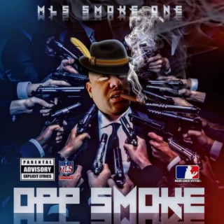 MLS Smoke ONE