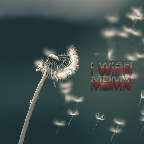 I WISH | Boomplay Music