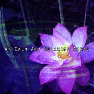 47 Calm And Relaxing Auras