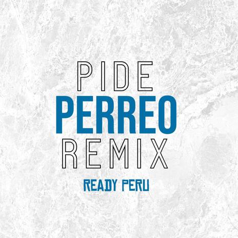 Pide Perreo (Remix) | Boomplay Music