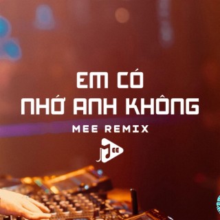 Em Có Nhớ Anh Không (Vinahouse)